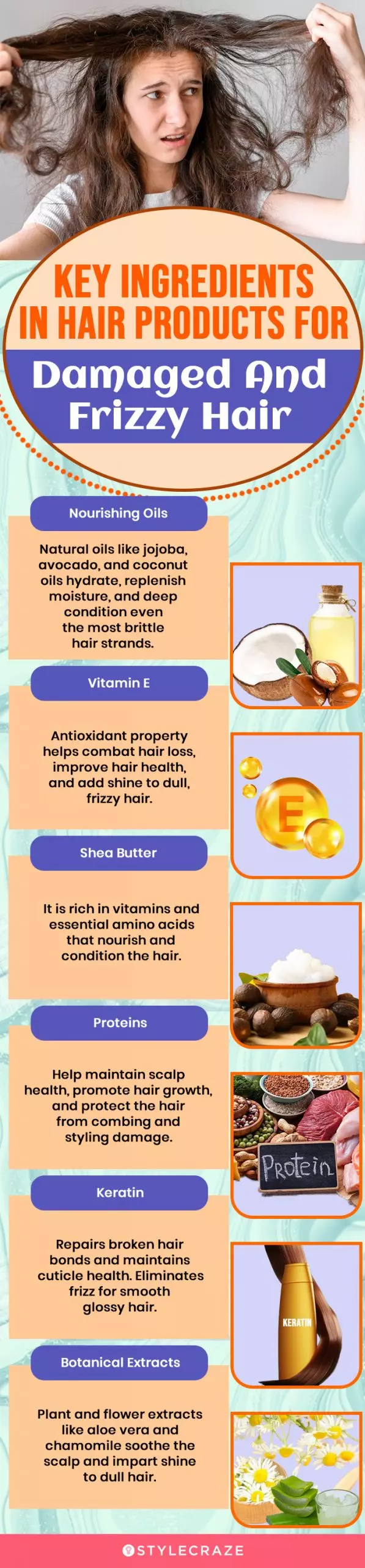 Key Ingredients In Hair Products For Damaged And Frizzy Hair(infographic)