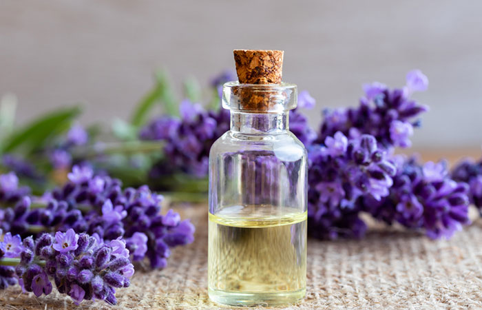 Lavender oil for head lice prevention