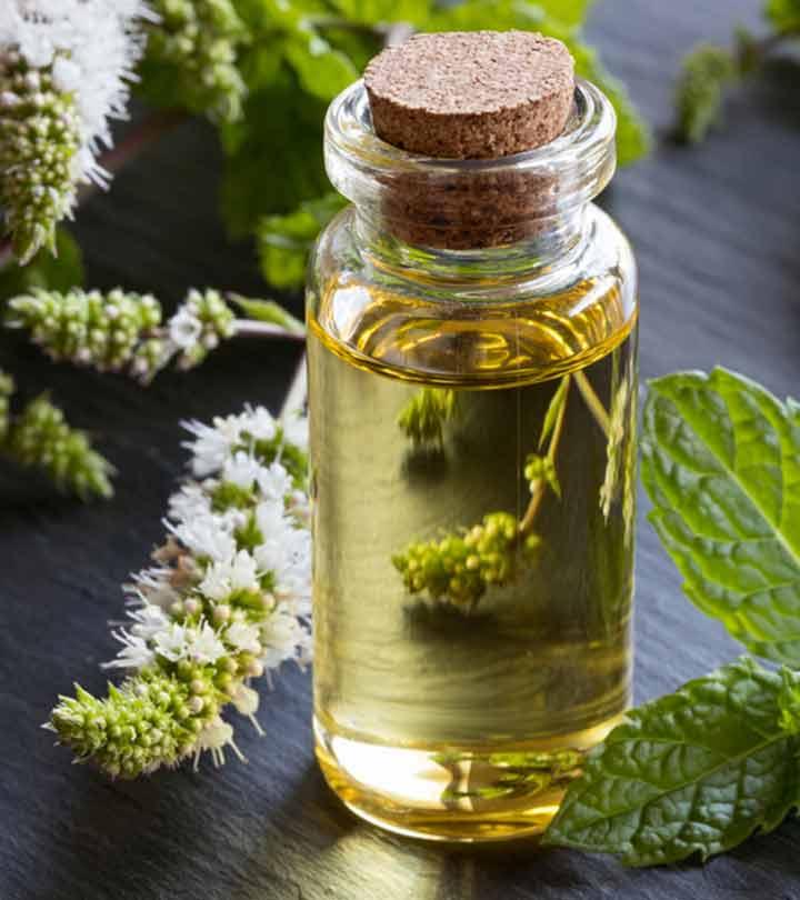 Peppermint Oil Benefits and Side Effects