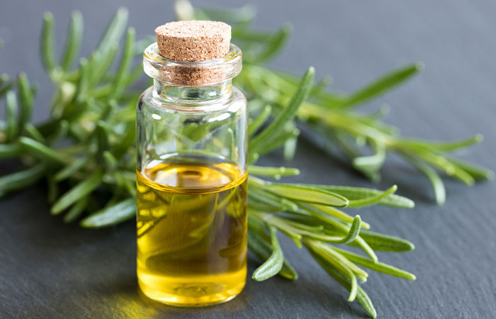 Rosemary oil for head lice prevention