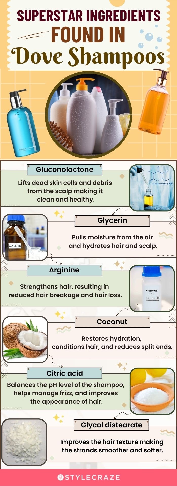Superstar Ingredients Found In Dove Shampoos (infographic)