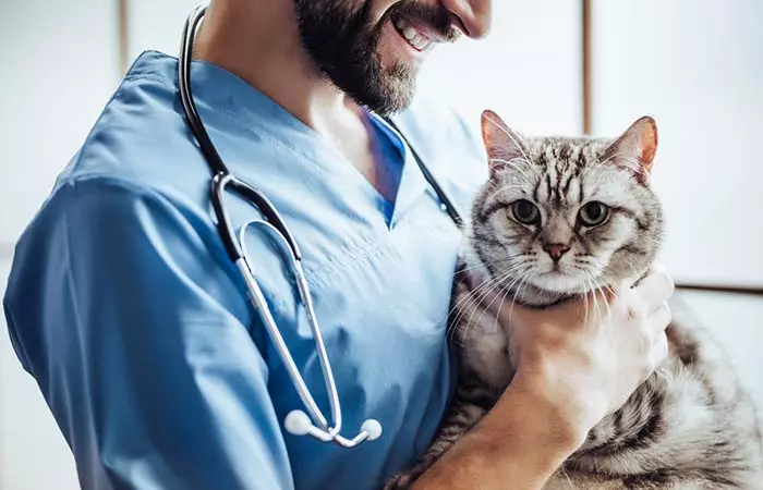Talk To Your Vet First