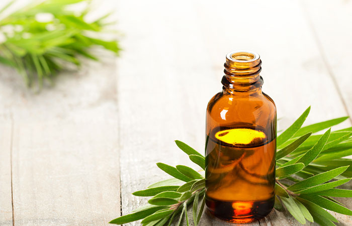 Tea tree oil for head lice prevention