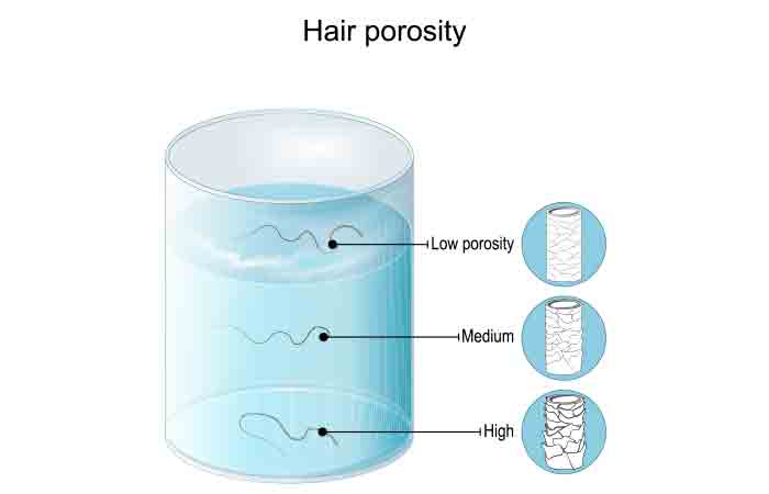 What To Do Before You Perm Dyed Hair: Hair Porosity Test