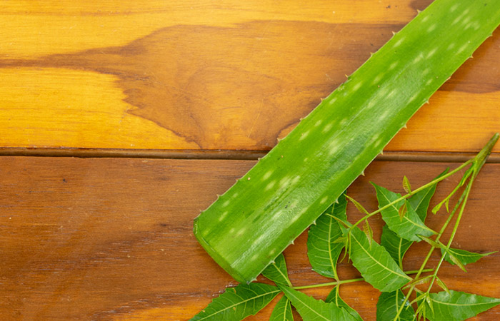 Aloe vera and neem are effective against dandruff