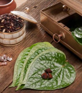 Betel Leaf Benefits and Side Effects in Hindi