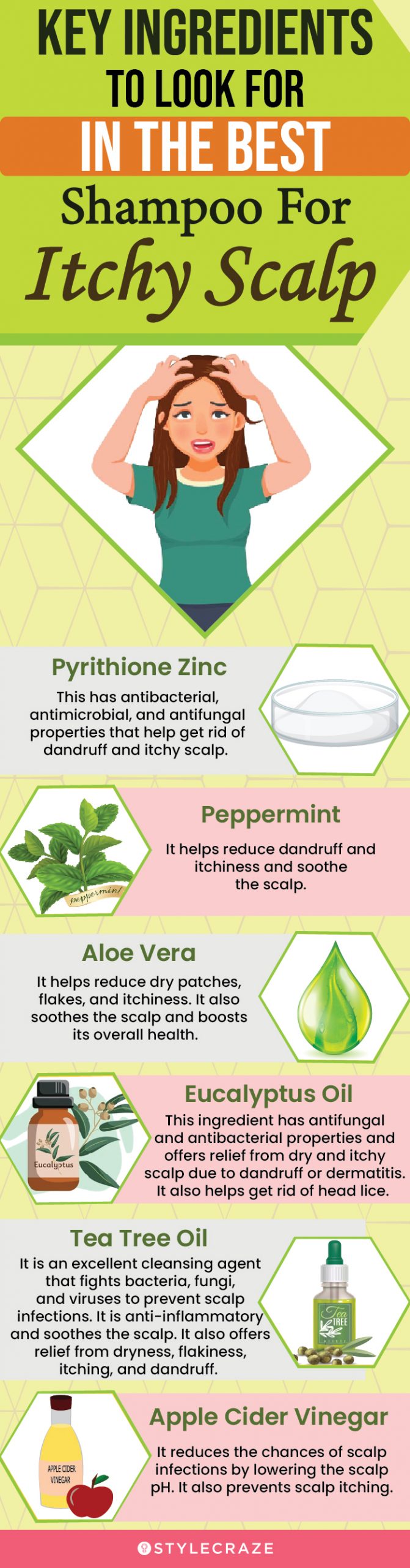 Key Ingredients To Look For In The Best Shampoo For Itchy Scalp (infographic)