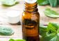 Peppermint Oil For Hair: Benefits And...