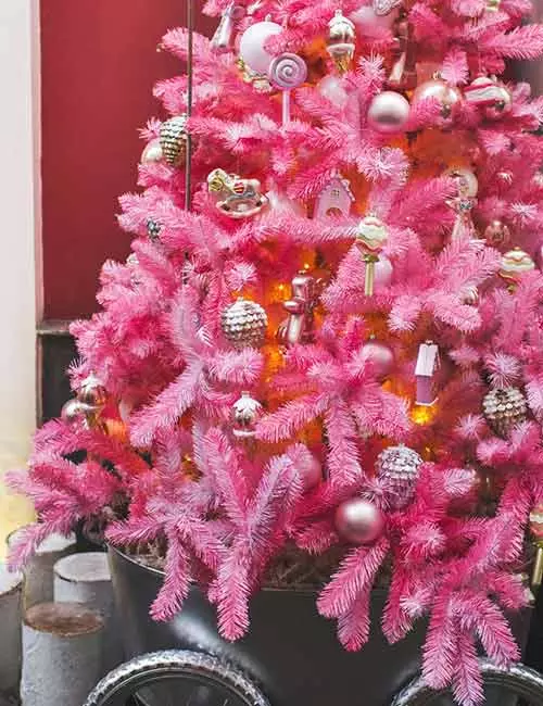 Pink Fir Branch Tree