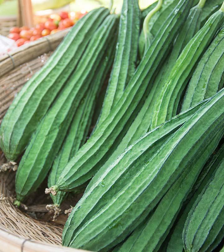 ঝিঙের উপকারিতা এবং পার্শ্বপ্রতিক্রিয়া | Ridge Gourd Benefits and Side Effects in Bengali