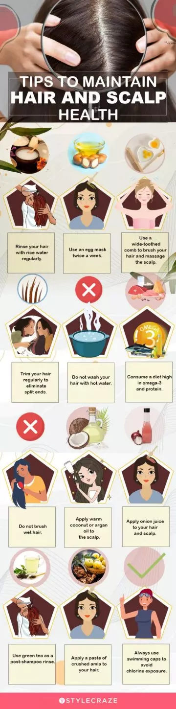 tips to maintain hair and scalp health (infographic)