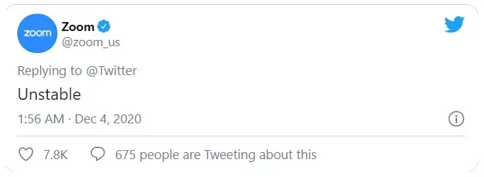 Zoom Processor is one of the highest earning companies during the Corona Curfew