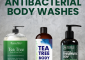 10 Best Antibacterial Body Washes of ...