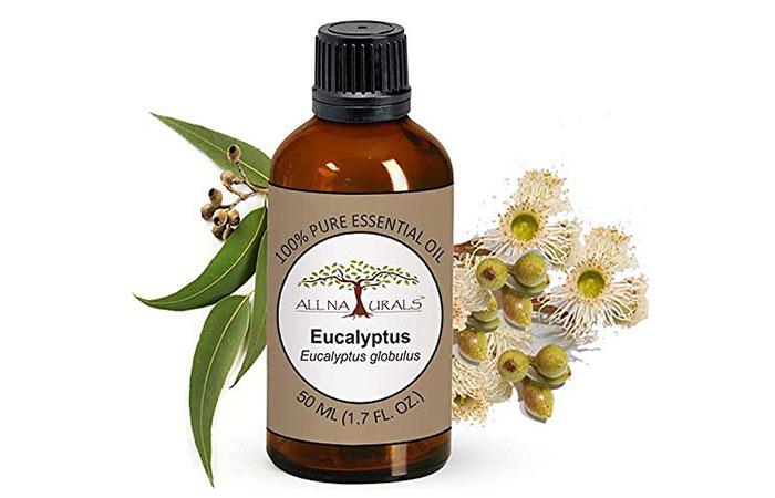 All Naturals Eucalyptus Essential Oil