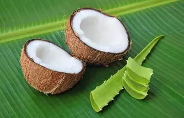 Sliced coconut and aloe vera leaves for hair.