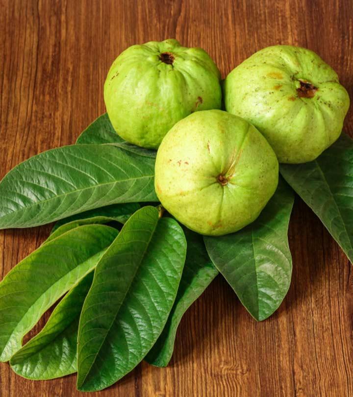 Guava Leaves Benefits and Side Effects in Bengali