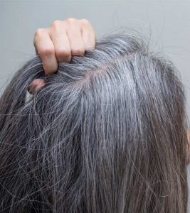 How To Soften Coarse Gray Hair