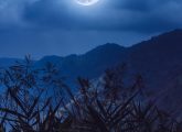 55+ Moon Quotes in Hindi : चांद पर शायरी | Shayari On Moon