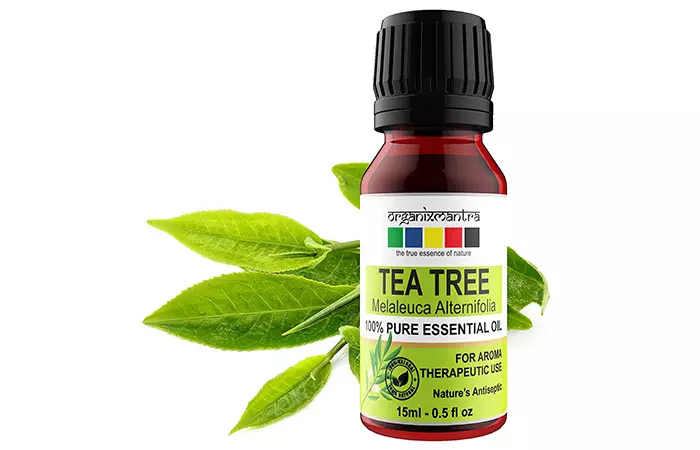 Organixmantra Tea Tree Essential Oil