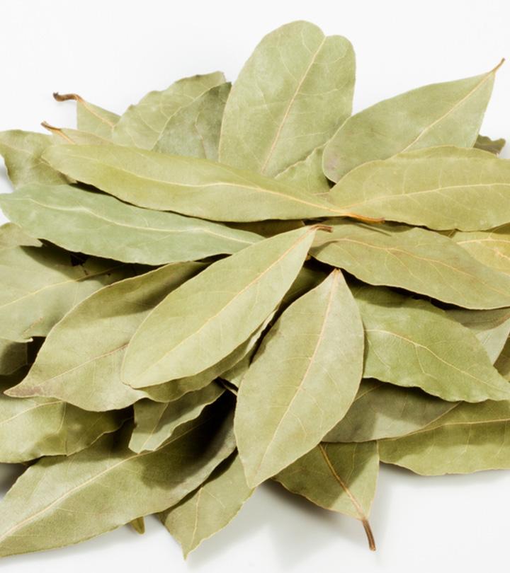 তেজপাতা সম্পর্কিত যাবতীয় তথ্য | All About Bay Leaf (Tej Patta) in Bengali