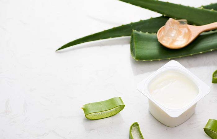 Aloe vera pulp and curd as natural conditioners for hair