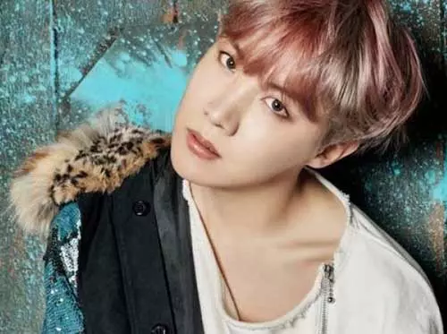 BTS Members Guide 7 Boys Who Took Over International Pop Music