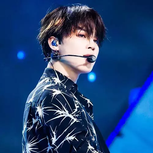 BTS Members Guide 7 Boys Who Took Over International Pop Music