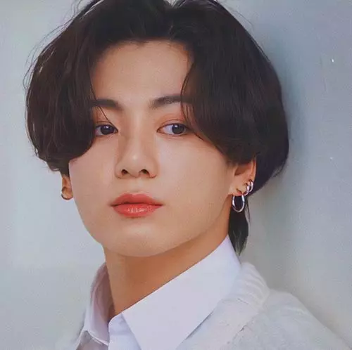 BTS Members Guide 7 Boys Who Took Over International Pop Music