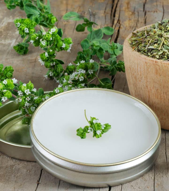 ஆர்கனோ – ரோட்டோரம் கிடைக்கும் செடியில் இத்தனை நன்மையா! Benefits of oregano in tamil