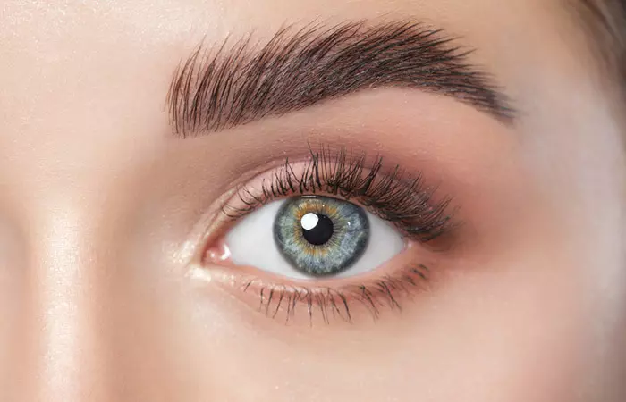 Brows That Could Cut Through Steel