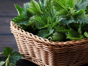 How To Use Nettle To Promote Hair Health