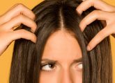 Is Apple Cider Vinegar A Good Remedy For Head Lice?