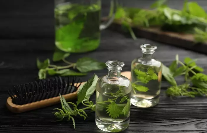 Nettle for hair benefits