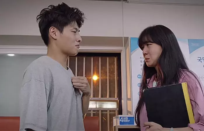 When The Camellia Blooms