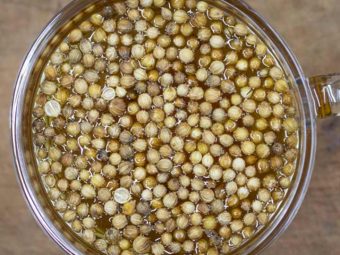 Benefits and Side Effects of Coriander Seed Water in Hindi