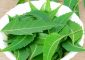 Benefits of Eating Neem on Empty Stomach in Hindi