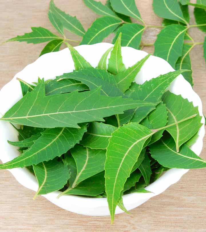 खाली पेट नीम खाने के फायदे – Benefits of Eating Neem on Empty Stomach in Hindi