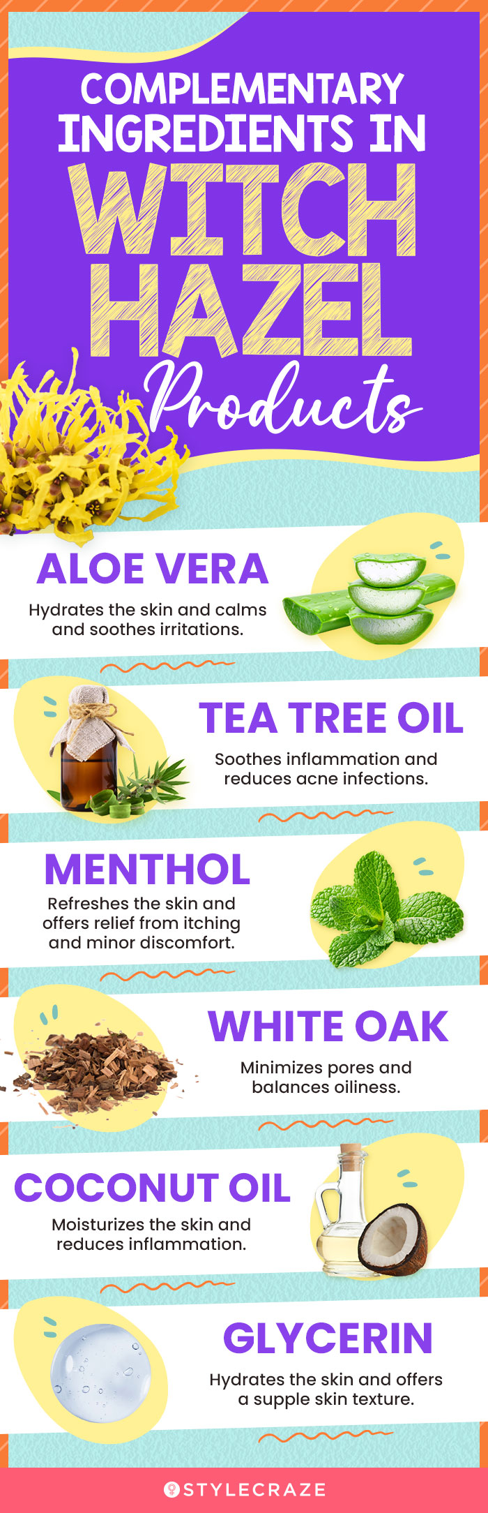 Complementary Ingredients In Witch Hazel Products (infographic)