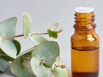 Eucalyptus Oil (Nilgiri Tel) Benefits and Side Effects in Hindi