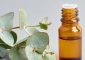 Eucalyptus Oil (Nilgiri Tel) Benefits and Side Effects in Hindi