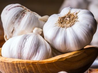 Garlic for Weight Loss in Hindi