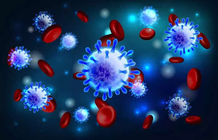 Hair Can Prevent The Transmission Of Bacteria