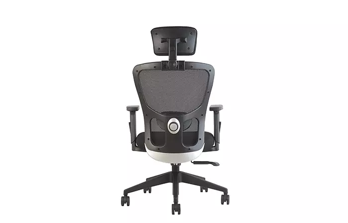 INNOWIN Jazz High Back Mesh Office Chair