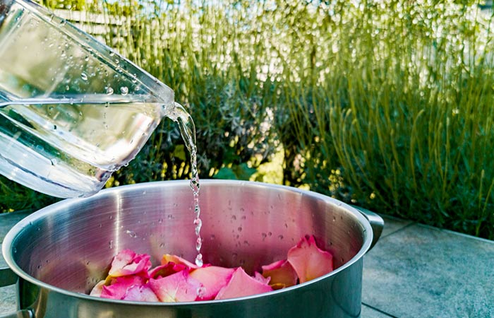 Water pouring over rose petals in a pot