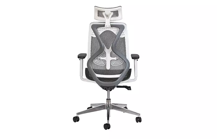 Misuraa Imported Xenon High Back Ergonomic Chair