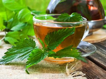 Nettle Tea Benefits and Side Effects in Hindi