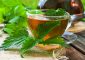 नेटल टी पीने के 6 फायदे और नुकसान - Nettle Tea Benefits and Side ...