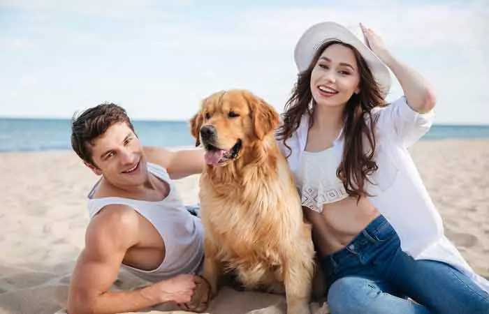 They-Would-Rather-Adopt-Pets