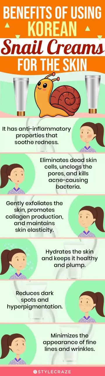 Benefits Of Using Korean Snail Cream For Skin