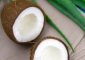 Benefits of Aloe Vera and Coconut Oil in Hindi